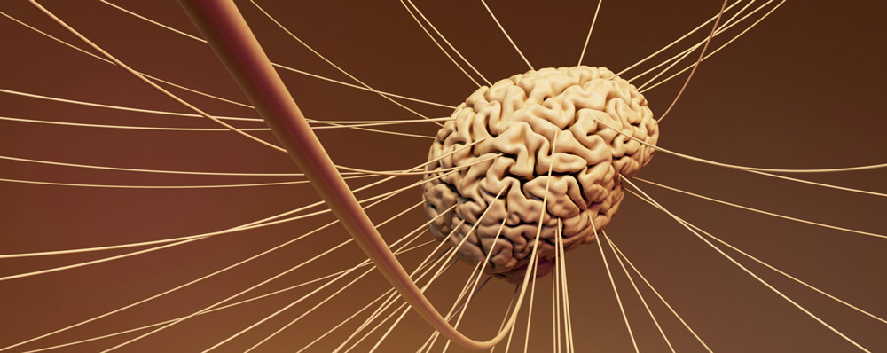 conexiones cerebrales