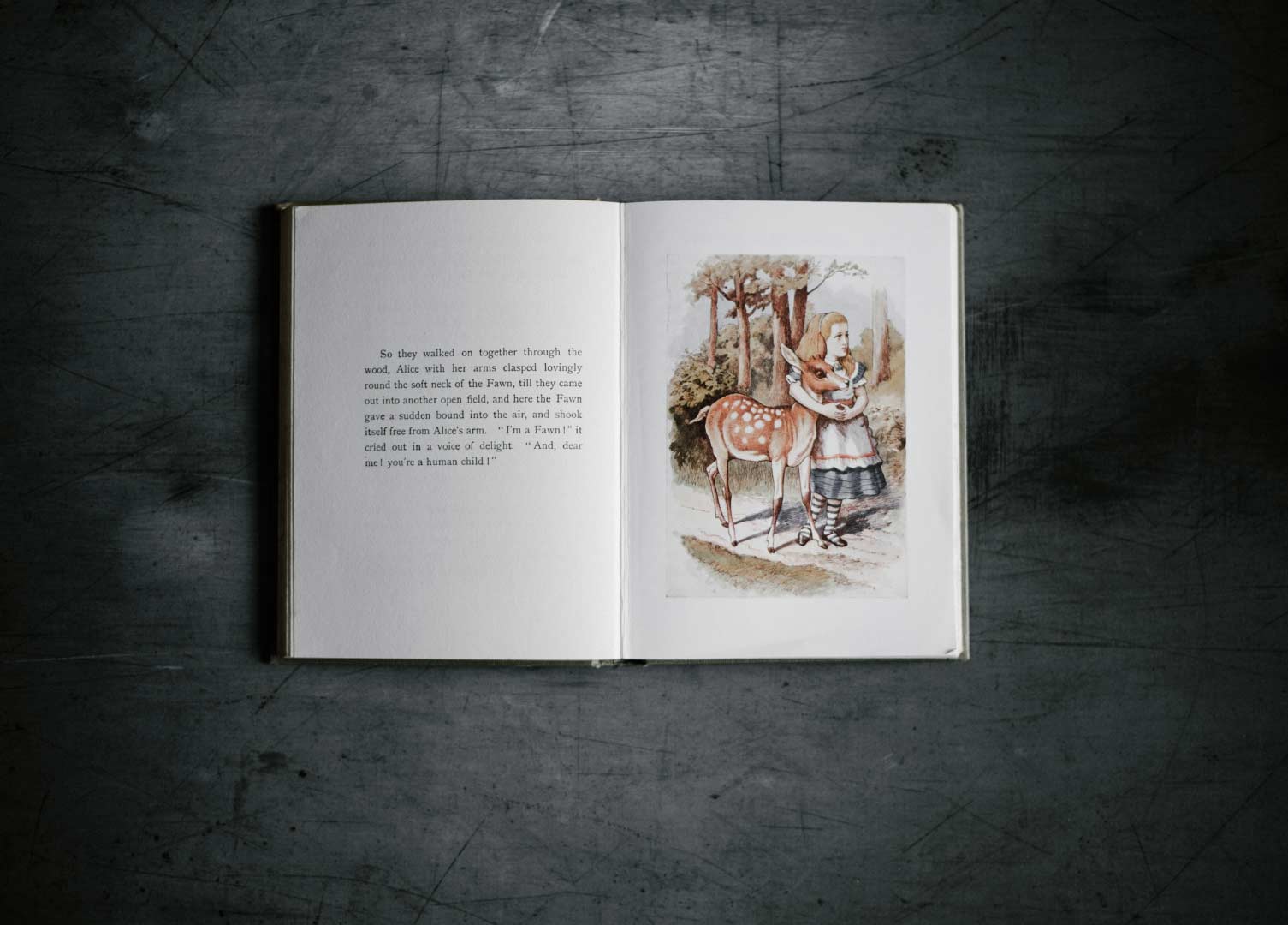 Libro con ilustraciones